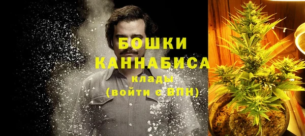 прущая мука Гусиноозёрск