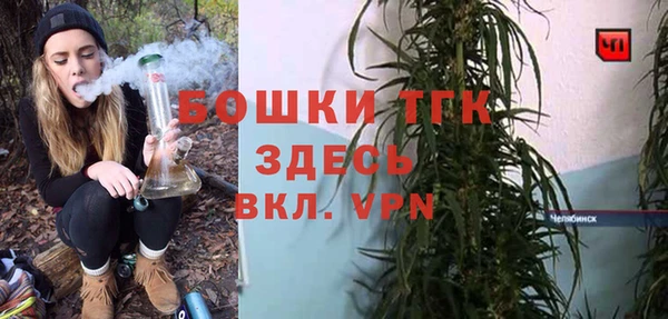 не бодяженный Гусев